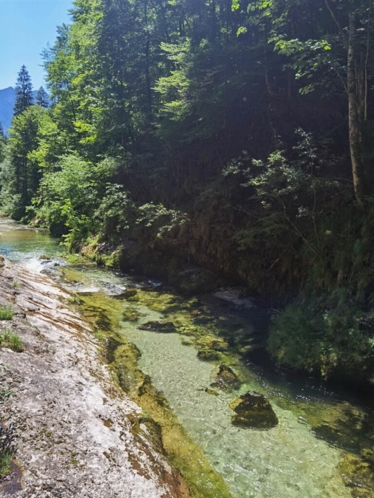 Glasklares Wasser fließt durch die Weißbachschlucht