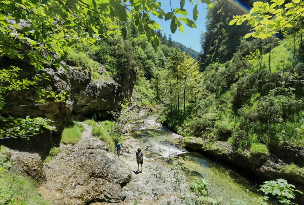 Entdecke das Naturwunder bei deiner Weißbachschlucht Wanderung